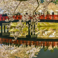 節日慶典名稱：02/14~02/18