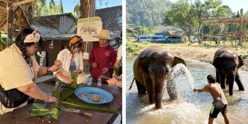 大象體驗營