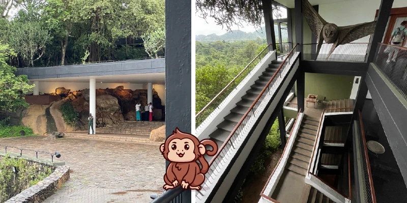 Heritance Kandalama 坎達拉瑪遺產酒店