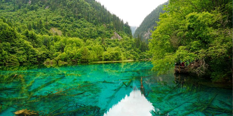 九寨溝與川渝線:湖泊、森林與山城一次收藏