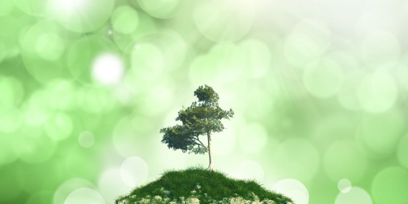 永續旅遊的未來趨勢與企業準備方向