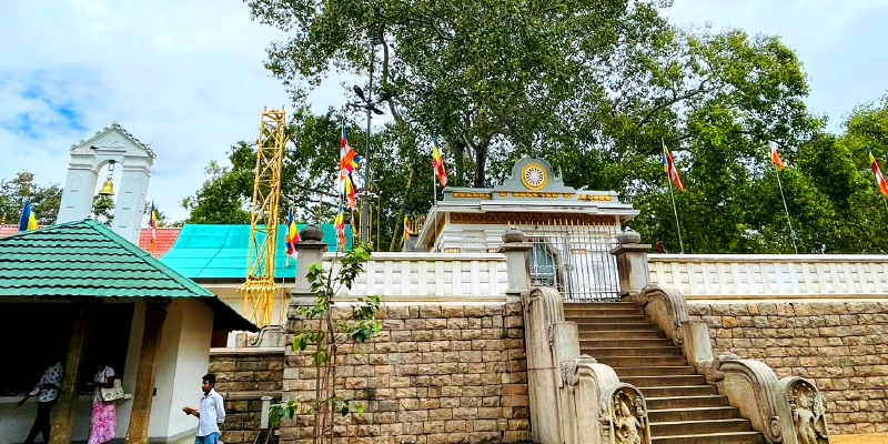 ANURADHAPURA 阿努拉德普勒