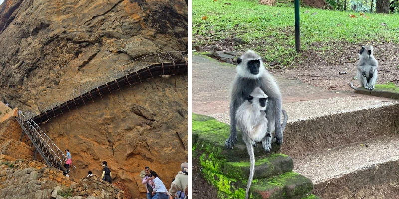 SIGIRIYA 天空之城獅子岩