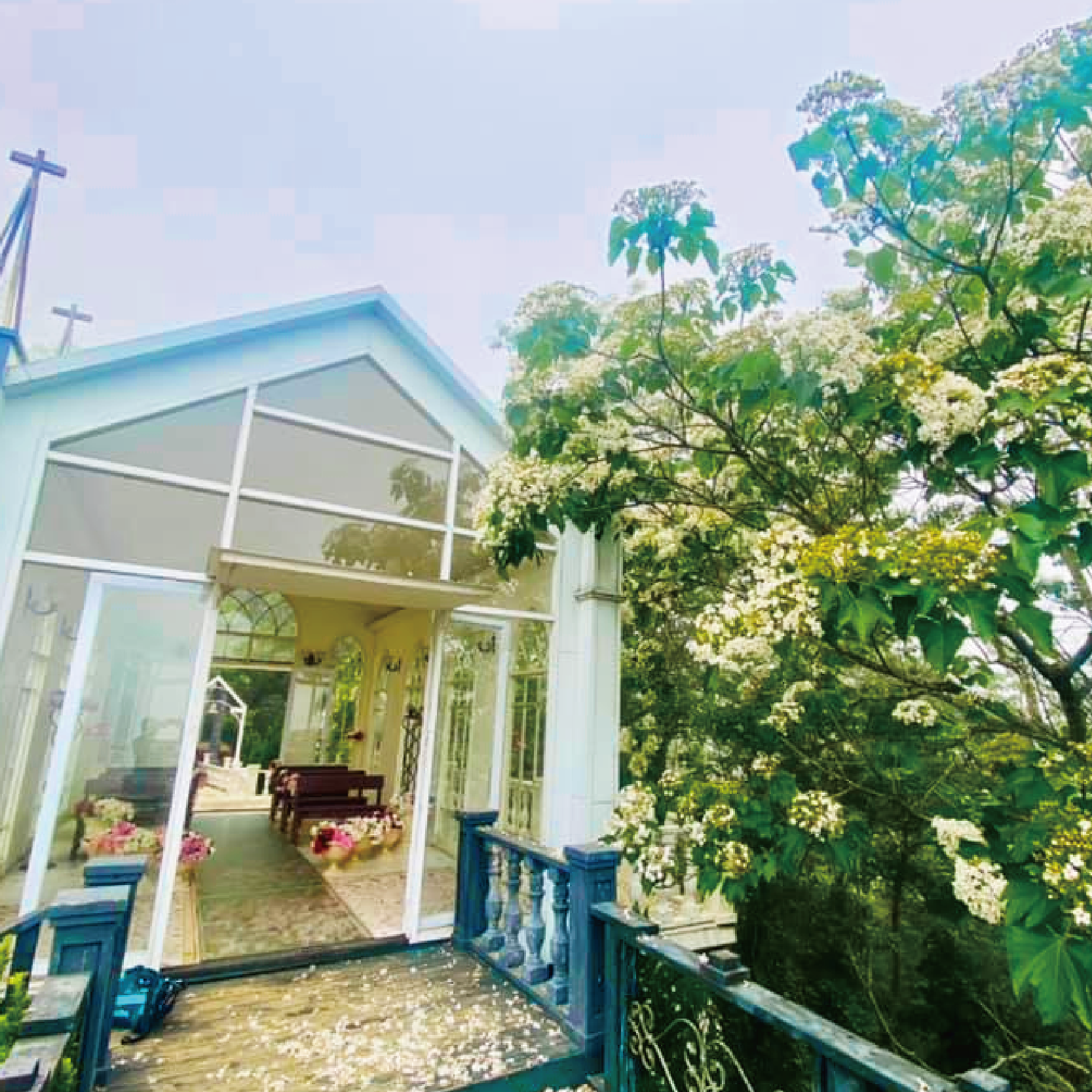 莫內秘密花園