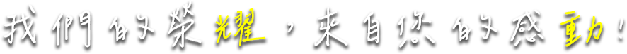 關於耀動