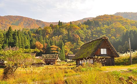 童話合掌村體驗～秋彩紅葉