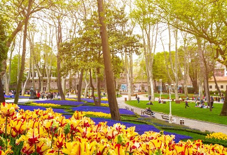 土耳其-伊斯坦堡.洞穴連泊單飛10天 鬱金香花季