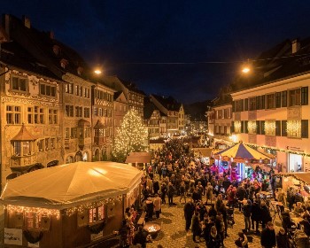 醉愛歐洲~歐洲花園瑞士景觀列車、三大名峰、大城小鎮11天
