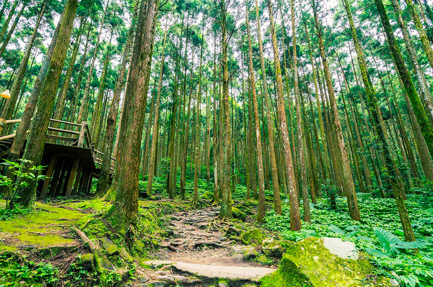 歡喜慶雙十、歡樂雙慶典~綠光森林、八卦大佛、岡山之眼3天（新竹國慶晚會、2021國慶煙火）