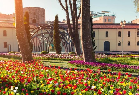 【夏季】TK土耳其單飛11天 鬱金香花季