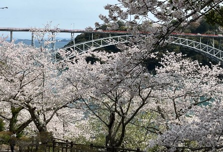 地中海郵輪假期榮耀號-熊本、佐世保賞櫻自主遊６天
